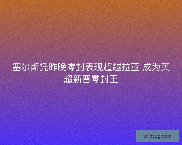 塞尔斯凭昨晚零封表现超越拉亚 成为英超新晋零封王