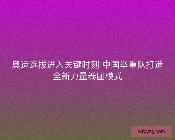 奥运选拔进入关键时刻 中国举重队打造全新力量卷团模式